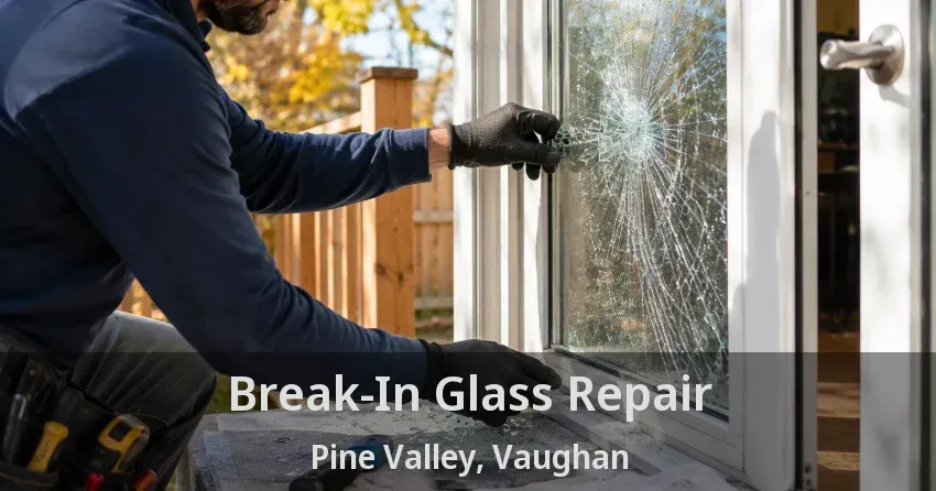Break-In Glass Repair Pine Valley, Vaughan - ON