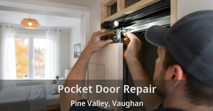 Pocket Door Repair Pine Valley, Vaughan - ON