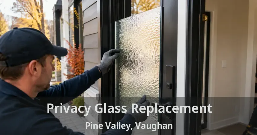 Privacy Glass Replacement Pine Valley, Vaughan - ON